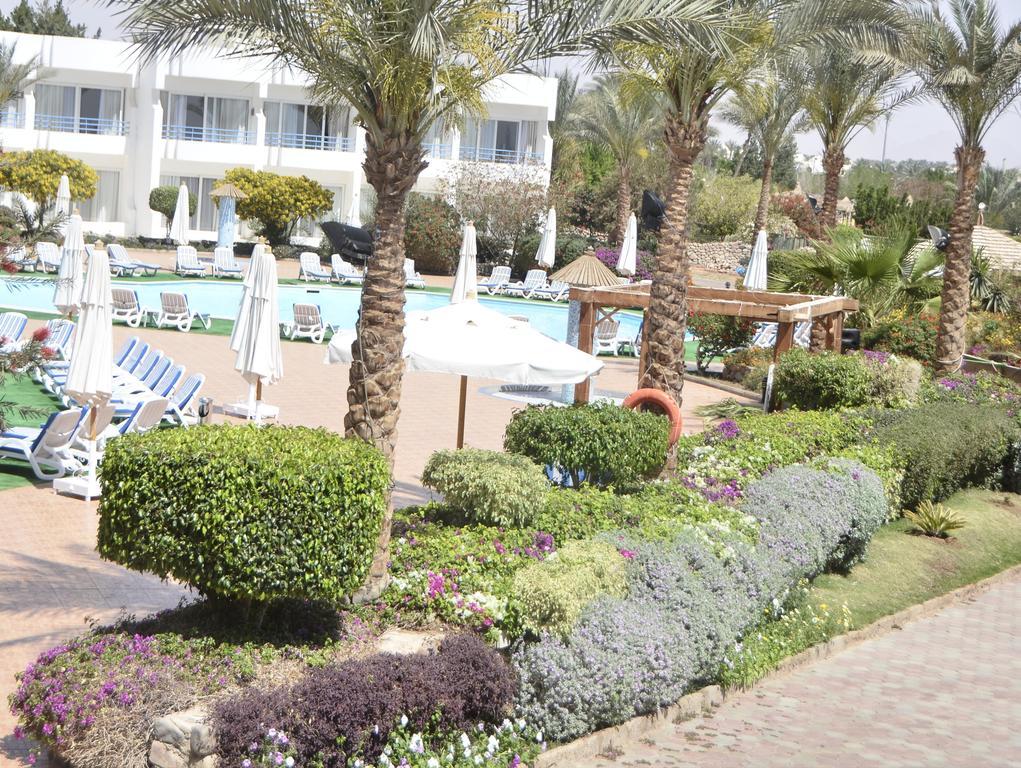 Queen Sharm Aqua Park Hotel Εξωτερικό φωτογραφία
