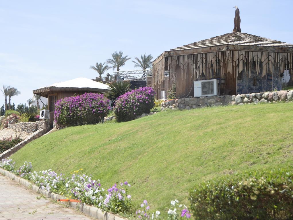Queen Sharm Aqua Park Hotel Εξωτερικό φωτογραφία